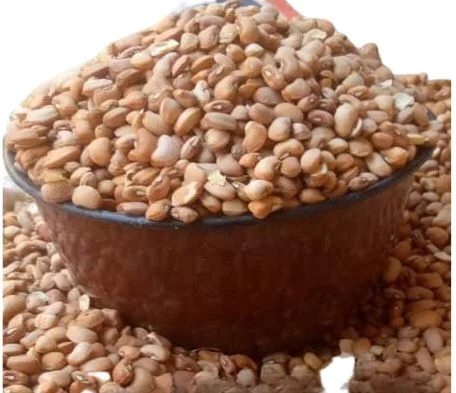 Why beans price bloated in Nigeria – CFAN